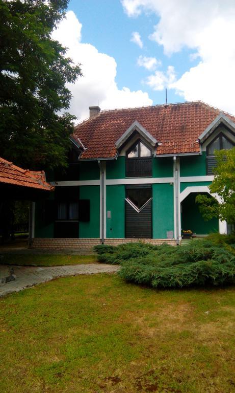 Villa Planinska Kuca Mokra Gora Exterior foto